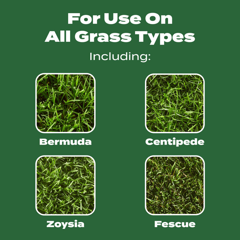 Scotts&reg; Turf Builder&reg; Lawn Food image number null